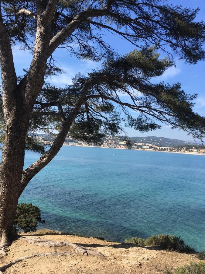 Les Galets De Sanary - Vue Mer Buitenkant foto